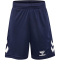 hummel hmlLOGO Sport-Set Trikot+Shorts Kinder 7026 - marine 116