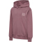 hummel hmlCLEAN Hoodie M&auml;dchen 4093 - rose taupe 104