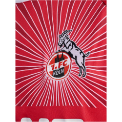 hummel 1. FC K&ouml;ln Ausw&auml;rtstrikot 2024/25 3062 - true red XXL