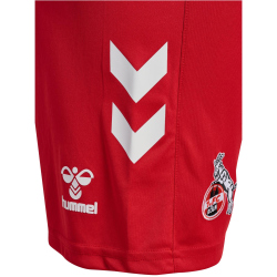 hummel 1. FC K&ouml;ln Ausw&auml;rtsshorts 2024/25 3062 - true red XXL