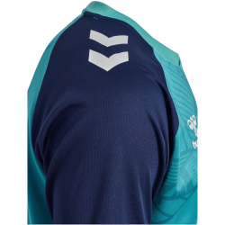 hummel 1. FC K&ouml;ln Ausweichtrikot 2024/25 7851 - pagoda blue XXL