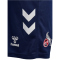 hummel 1. FC K&ouml;ln Ausweichshorts 2024/25 7666 - peacoat XXL
