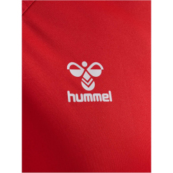 hummel 1. FC K&ouml;ln Pro Trainingstrikot 2024/25 3062 - true red XXL