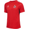 hummel 1. FC K&ouml;ln Pro Trainingstrikot 2024/25 3062 - true red XXL