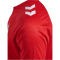 hummel 1. FC K&ouml;ln Pro Trainingstrikot 2024/25 3062 - true red XXL