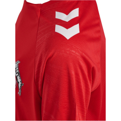 hummel 1. FC K&ouml;ln Pro Trainingstrikot 2024/25 Kinder 3062 - true red 116