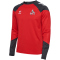 hummel 1.FC K&ouml;ln TR Pro Sweatshirt 2024/25 3062 - true red XXL