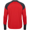 hummel 1.FC K&ouml;ln TR Pro Sweatshirt 2024/25 3062 - true red XXL