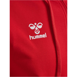 hummel 1. FC K&ouml;ln Travel Kapuzenjacke 2024/25 3062 - true red XXL