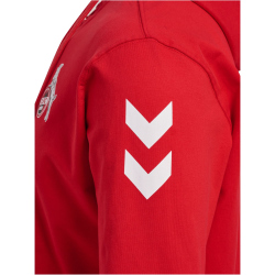 hummel 1. FC K&ouml;ln Travel Kapuzenjacke 2024/25 3062 - true red XXL