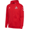 hummel 1. FC K&ouml;ln Travel Kapuzenjacke 2024/25 3062 - true red XXL