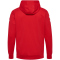 hummel 1. FC K&ouml;ln Travel Kapuzenjacke 2024/25 3062 - true red XXL