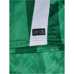 hummel SV Werder Bremen Heimtrikot 2024/25 6249 - bosphorous 4XL