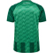 hummel SV Werder Bremen Heimtrikot 2024/25 6249 - bosphorous 4XL