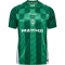 hummel SV Werder Bremen Heimtrikot 2024/25 6249 - bosphorous 4XL
