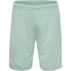 hummel SV Werder Bremen Ausw&auml;rtsshorts 2024/25 6117 - silt green XXL