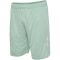 hummel SV Werder Bremen Ausw&auml;rtsshorts 2024/25 6117 - silt green XXL