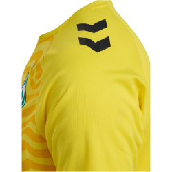 hummel SV Werder Bremen Torwarttrikot 2024/25 5269 - blazing yellow XXL