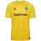 hummel SV Werder Bremen Torwarttrikot 2024/25 5269 - blazing yellow XXL