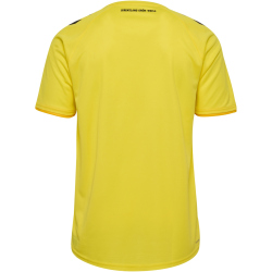 hummel SV Werder Bremen Torwarttrikot 2024/25 5269 - blazing yellow S