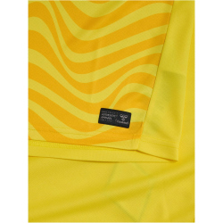 hummel SV Werder Bremen Torwarttrikot 2024/25 5269 - blazing yellow S