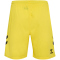 hummel SV Werder Bremen Torwartshorts 2024/25 5269 - blazing yellow XXL