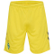 hummel SV Werder Bremen Torwartshorts 2024/25 5269 - blazing yellow XXL