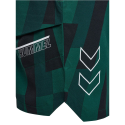 hummel hmlCOURT AOP Pocket Shorts Damen 6614 - rain...