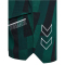 hummel hmlCOURT AOP Pocket Shorts Damen 6614 - rain forest XL