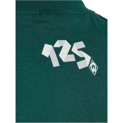 hummel SV Werder Bremen 125-Jahre Retro T-Shirt Kinder 5069 - botanical garden 140