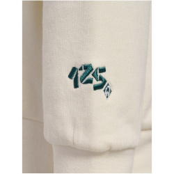 hummel SV Werder Bremen 125-Jahre Retro Hoodie Kinder 9806 - marshmallow 128