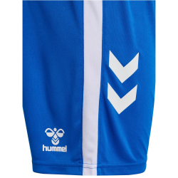 hummel 1. FC Magdeburg Heimshorts 2024/25 Kinder 7251 - princess blue 152