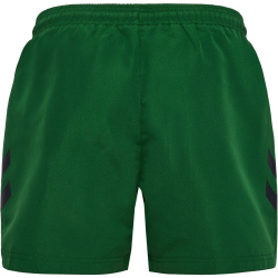 hummel hmlNED Badeshorts Herren 6170 - eden XS