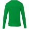 uhlsport Prediction langarm Torwarttrikot Kinder grün 128