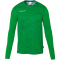 uhlsport Prediction langarm Torwarttrikot Herren gr&uuml;n XL