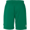 Kempa Team Handballshorts Herren lagune L