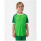 JAKO Iconic kurzarm Trikot Kinder 222 - soft green/sportgrün 116