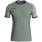 JAKO Iconic kurzarm Trikot 238 - mintgrün/soft grey/anthra light S