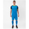 JAKO Iconic kurzarm Trikot 444 - JAKO blau/marine/neongelb S