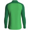 JAKO Iconic 1/4-Zip Sweatshirt 222 - soft green/sportgrün S