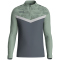JAKO Iconic 1/4-Zip Sweatshirt 852 - anthra light/mintgrün/soft grey L