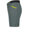 ICEPEAK Belfort Outdoorshorts Herren
