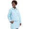 ICEPEAK Moline Outdoorhemd Damen 305 - baby blue 38