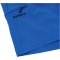 ICEPEAK Berwyn Outdoorshorts Herren 351 - royal blue 48