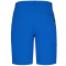 ICEPEAK Berwyn Outdoorshorts Herren 351 - royal blue 50