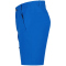ICEPEAK Berwyn Outdoorshorts Herren 351 - royal blue 50