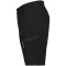 ICEPEAK Ahaus Outdoorshorts Herren 990 - black 46