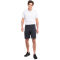 ICEPEAK Macon Outdoorshorts Herren 290 - anthracite 48
