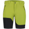 ICEPEAK Batavia Outdoorshorts Herren 527 - asparagus 50