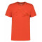 ICEPEAK Beeville T-Shirt Herren 452 - orange L